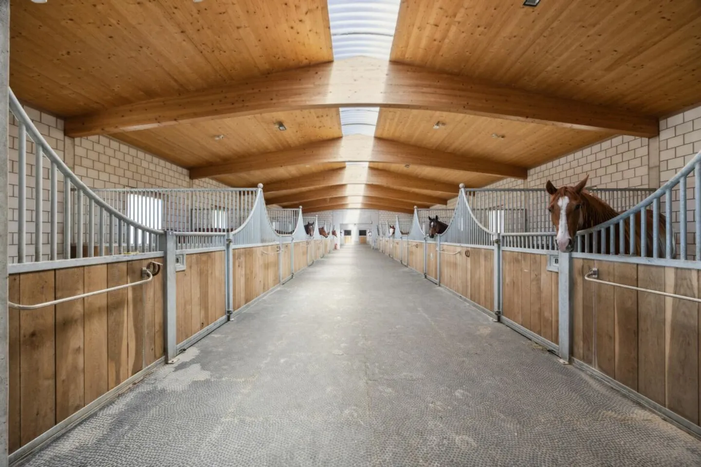 HIGH-QUALITY EQUESTRIAN PROPERTY IN A UNIQUE LOCATION WITH DREAMLIKE VIEWS - Photo 4 of 11