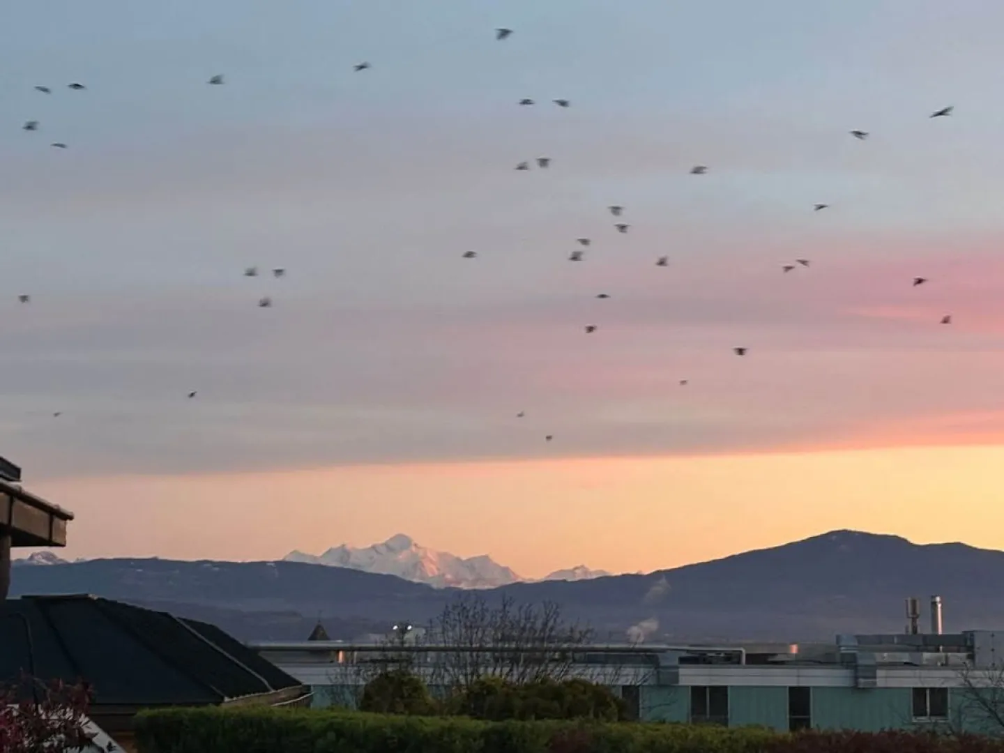 Wunderschöne Wohnung mit Panoramablick - Foto 4 von 10