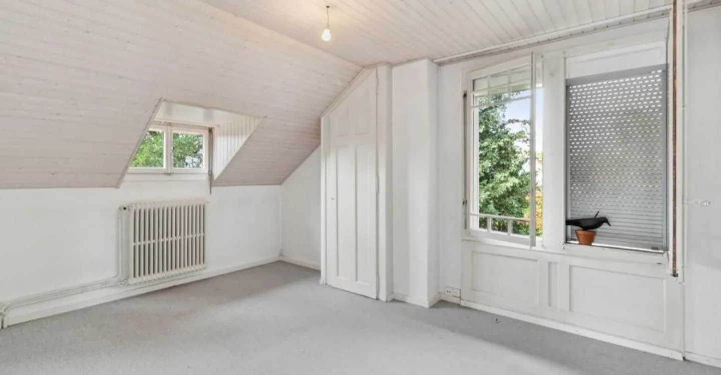 Beautiful Lake View - Magnificent Attic in Pully - Photo 4 of 9