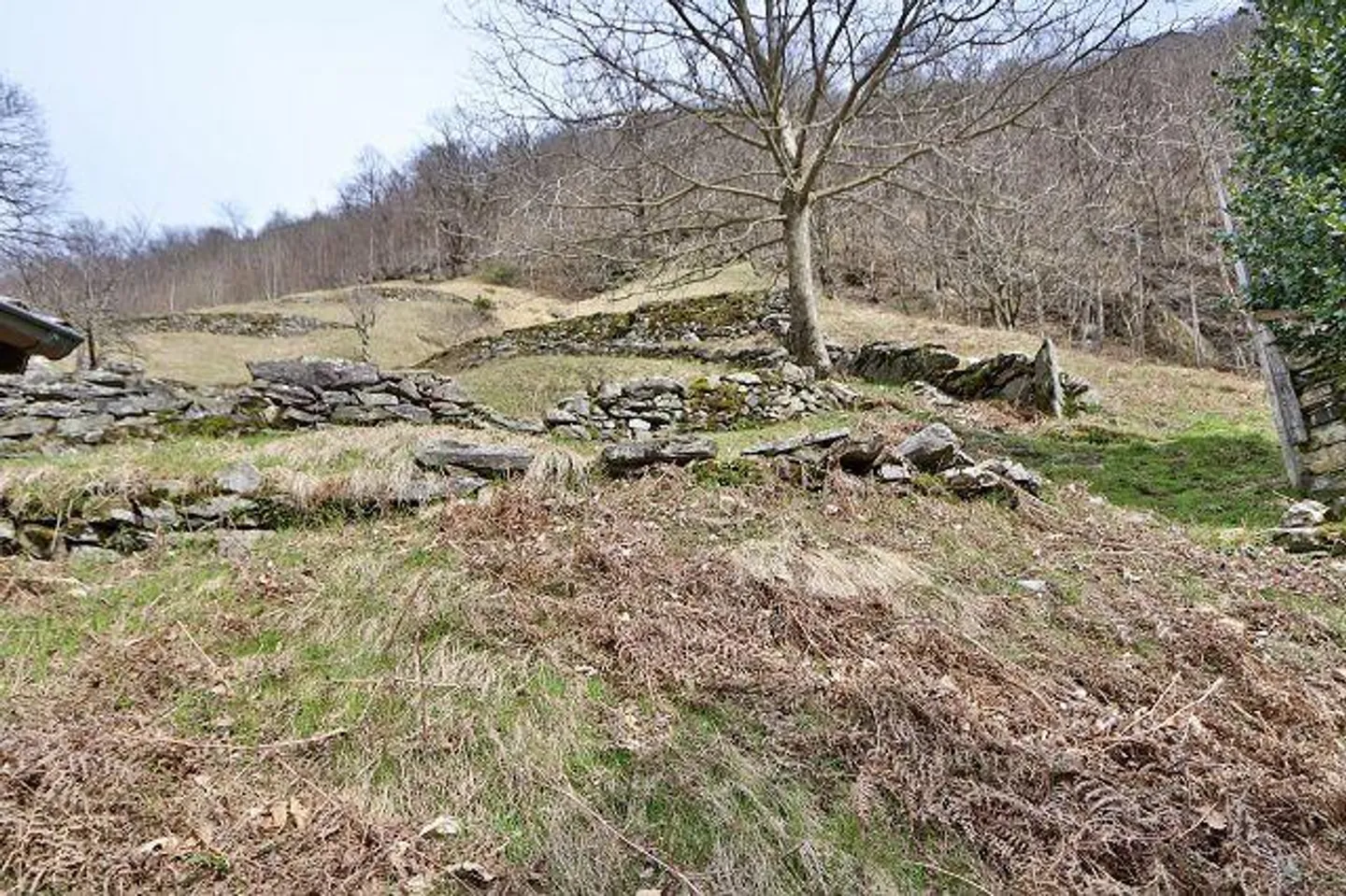 Rustico da ristrutturare in posizione molto tranquilla, soleggiata con bella vista - Foto 7 di 17