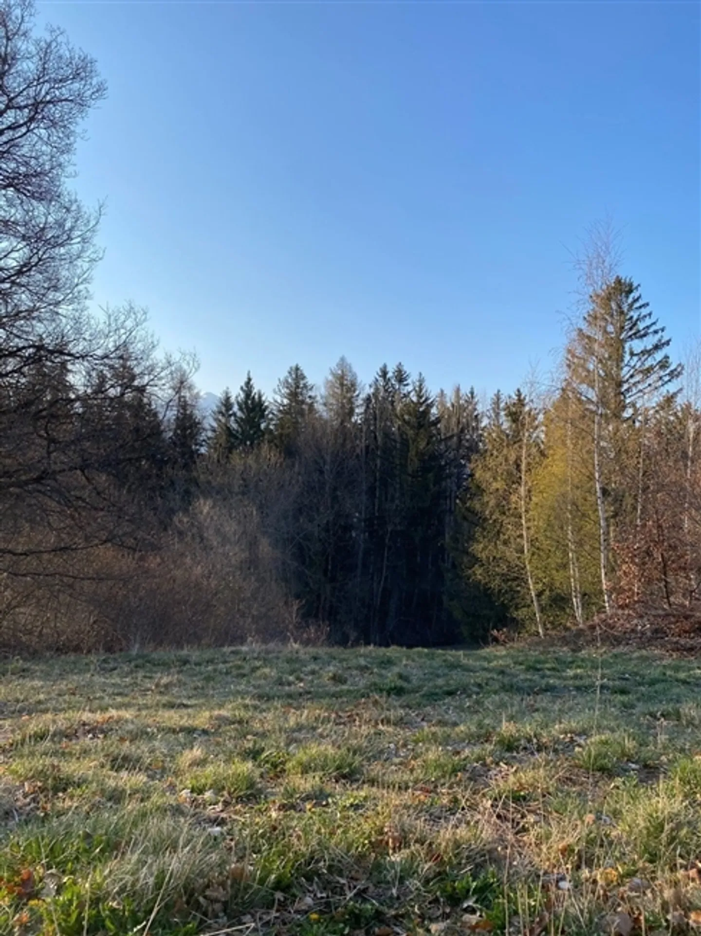 Field to Hit - Photo 4 of 4