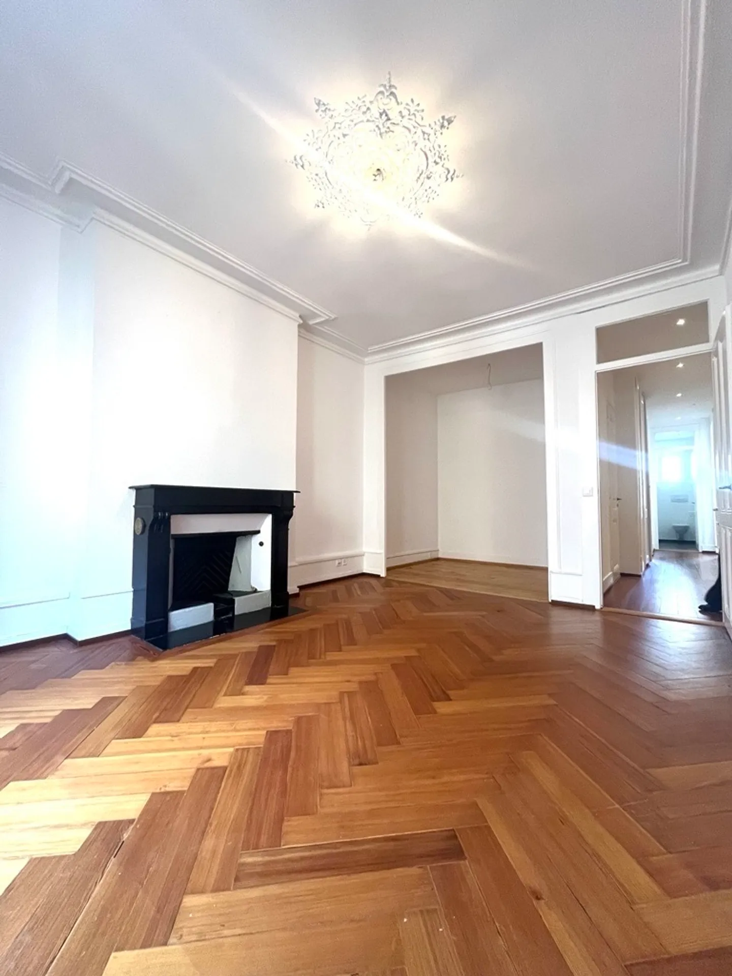 Beautiful 4.5-room apartment in the heart of Eaux-Vives - Photo 1 of 8