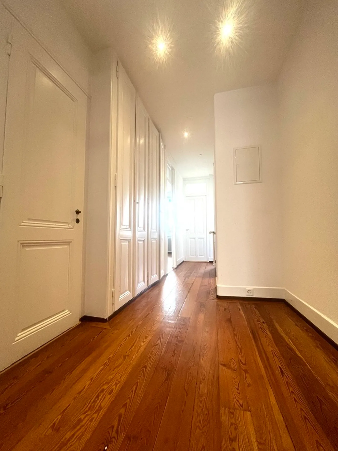 Beautiful 4.5-room apartment in the heart of Eaux-Vives - Photo 7 of 8