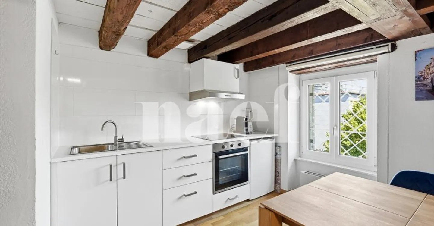 Duplex in the heart of Petit-Saconnex - Photo 2 of 13