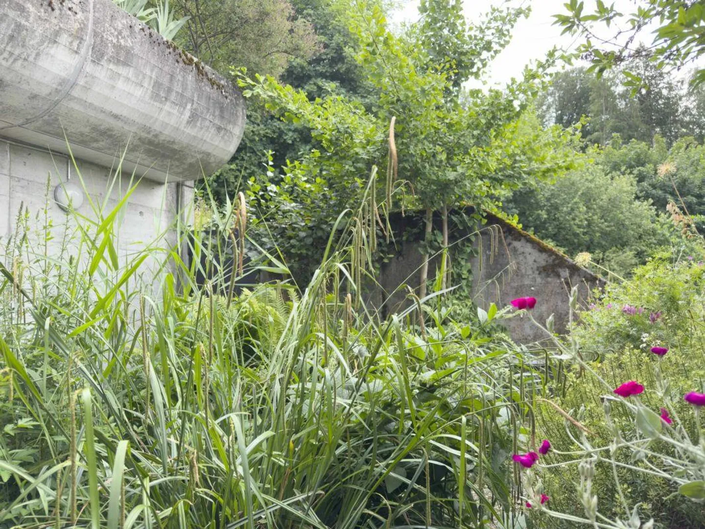 Vivre comme dans sa propre maison. Ensoleillé, proche de la ville et avec intimité incluse - Photo 20 sur 28