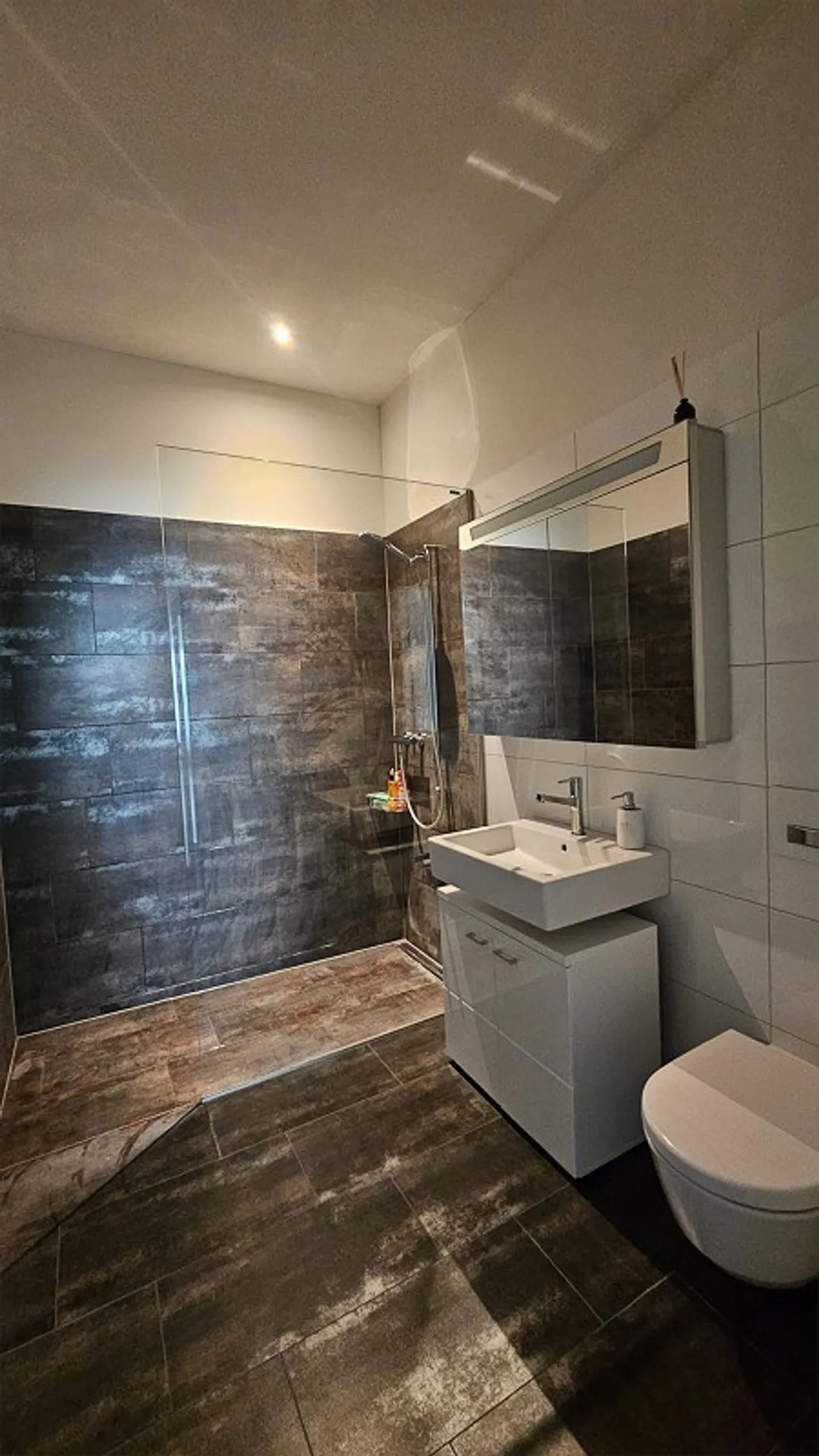Ampio appartamento di 122 m² con 3,5 stanze nel centro di Frauenfeld - Foto 11 di 12
