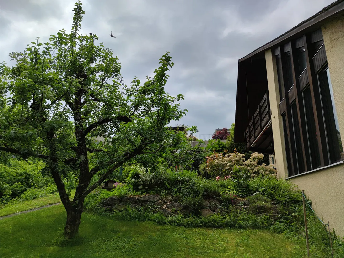 EFH + Craft Room with Lots of Charm, Quiet yet Centrally Located - Photo 6 of 11