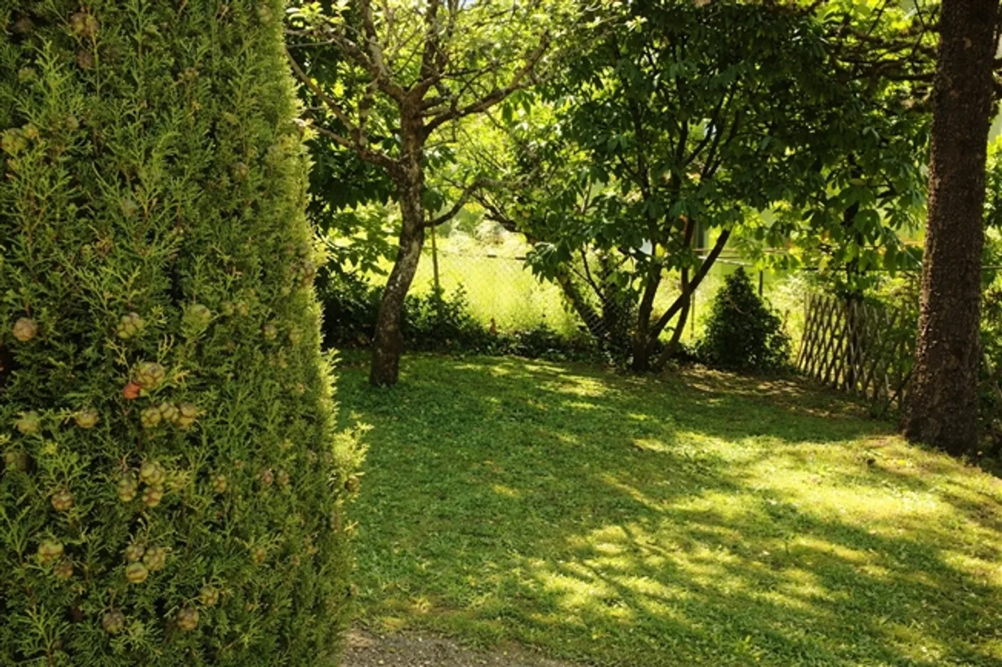 Apartment for Sale, Rue Bonivard (Montreux, Switzerland) - Photo 3 of 7