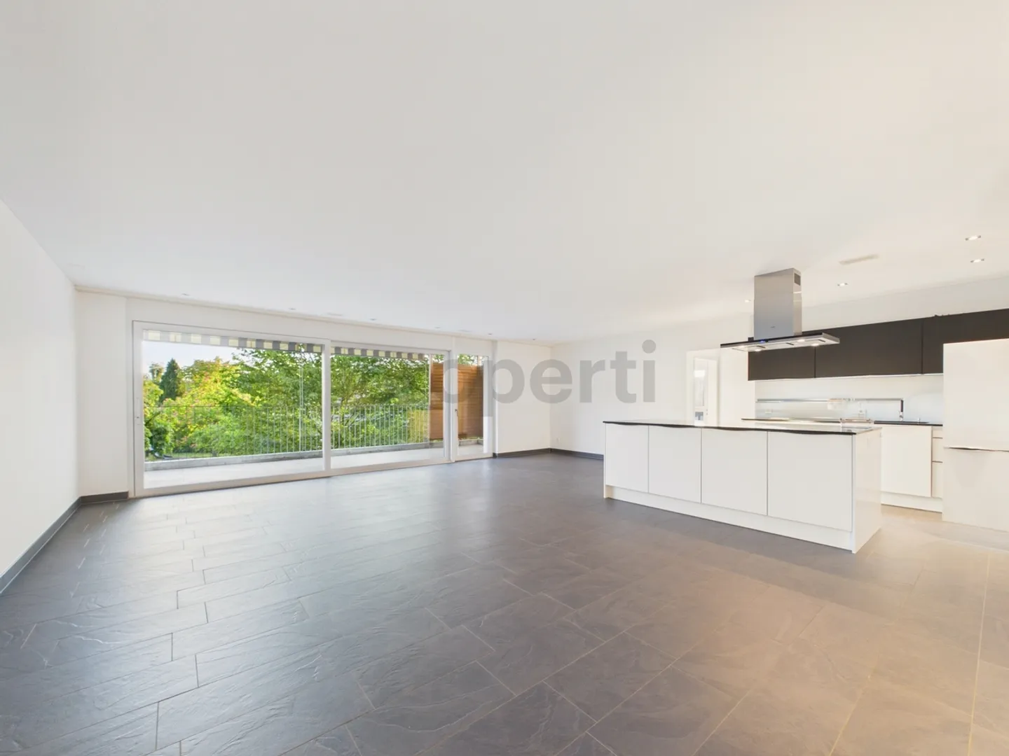 Moderno appartamento di 4,5 stanze con balcone, Dachsen - Foto 1 di 10