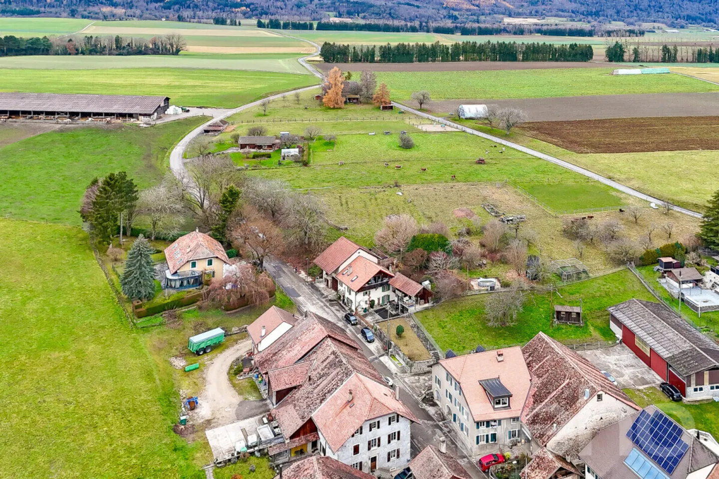 Property with large plot of 7,800 m² on the heights of Rances - Photo 3 of 12