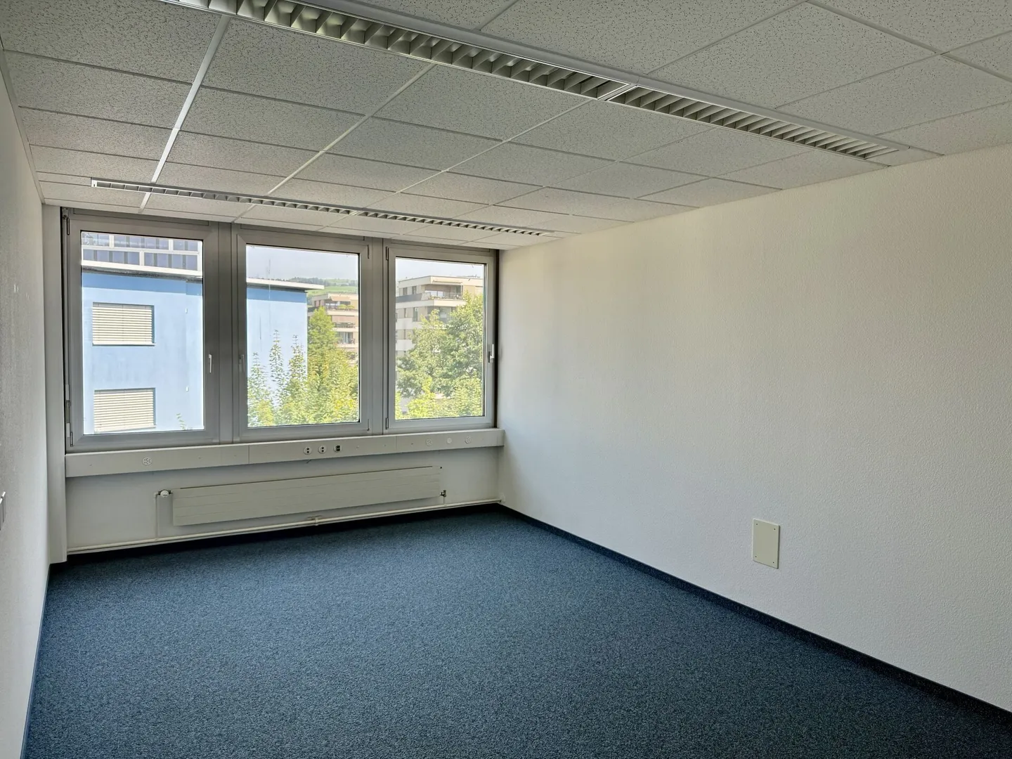 Office Baar Canton Zug - Photo 4 of 11