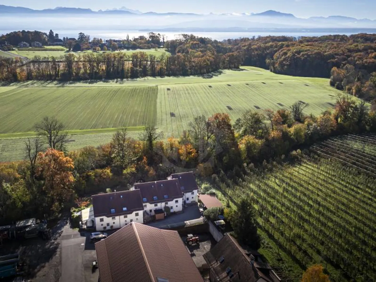 Bella villa - Luins - Foto 2 di 7