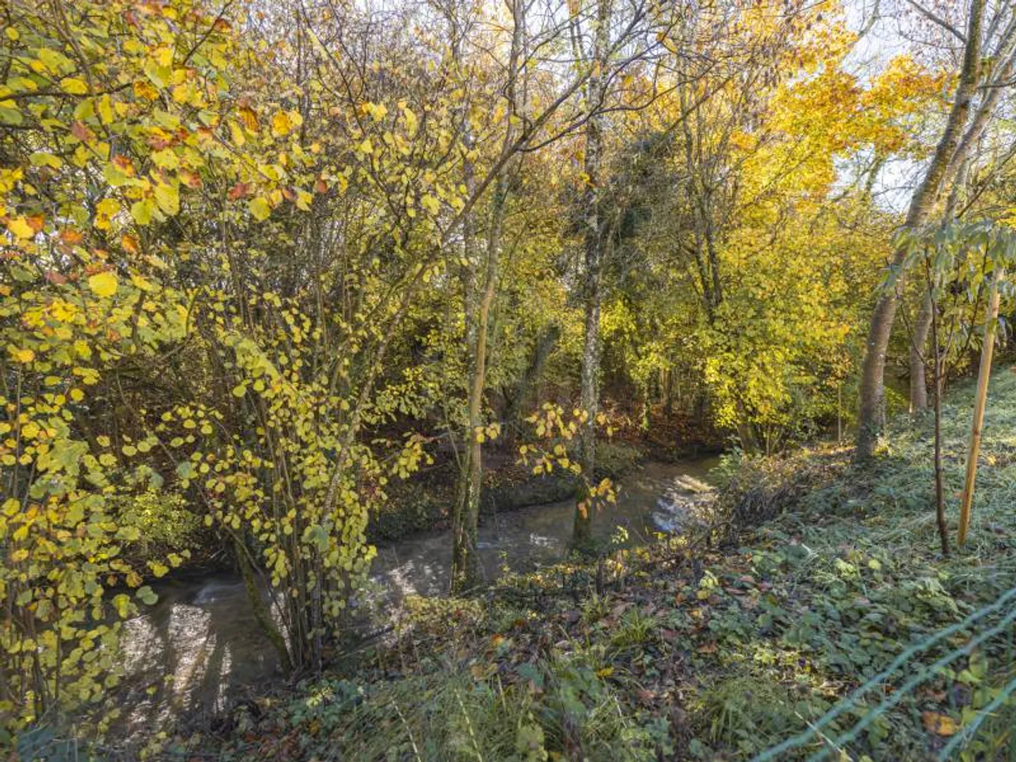 Bella villa - Luins - Foto 7 di 7