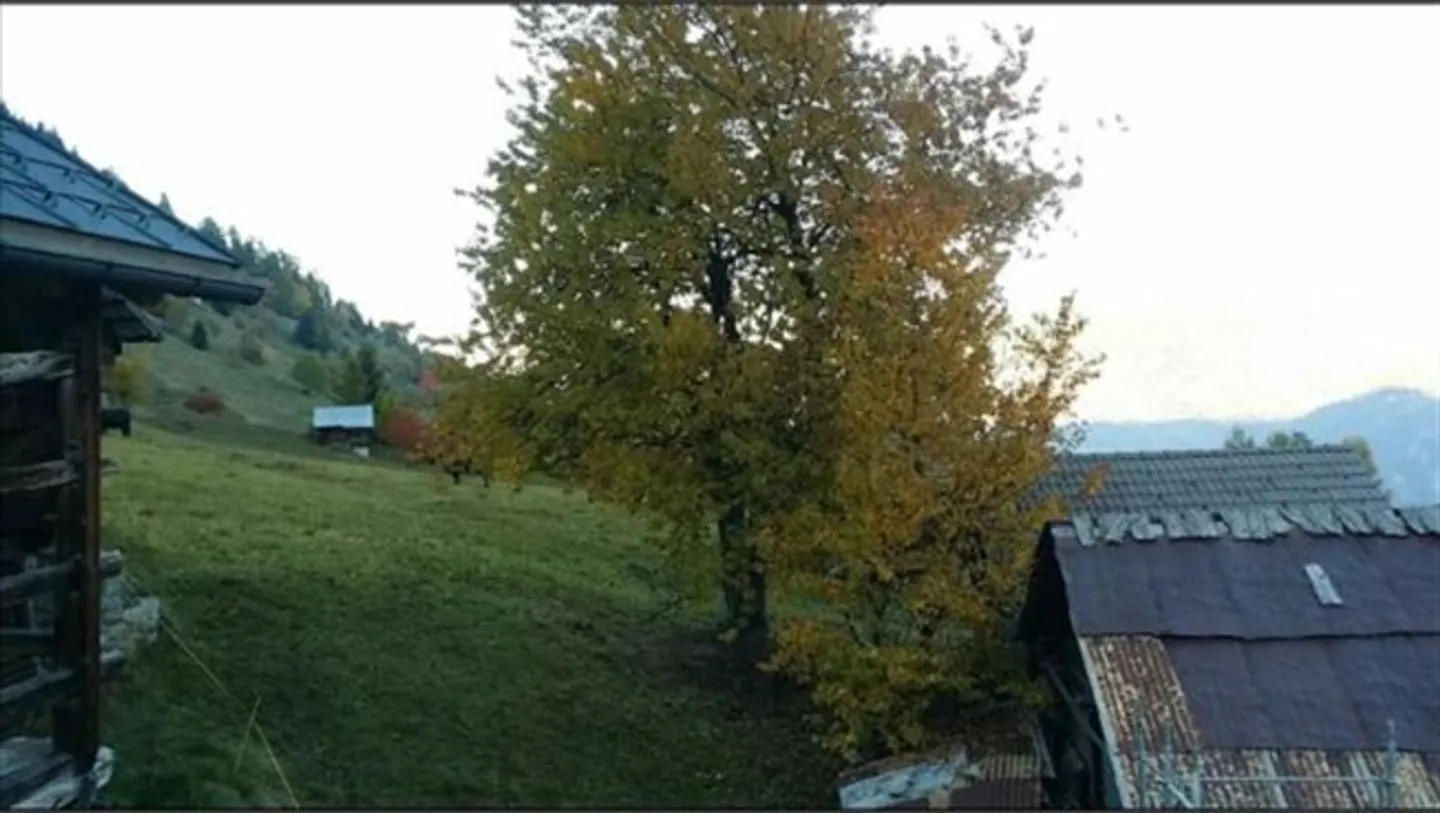 Fienile da ristrutturare con vista sulle Alpi vallesane - Foto 5 di 5