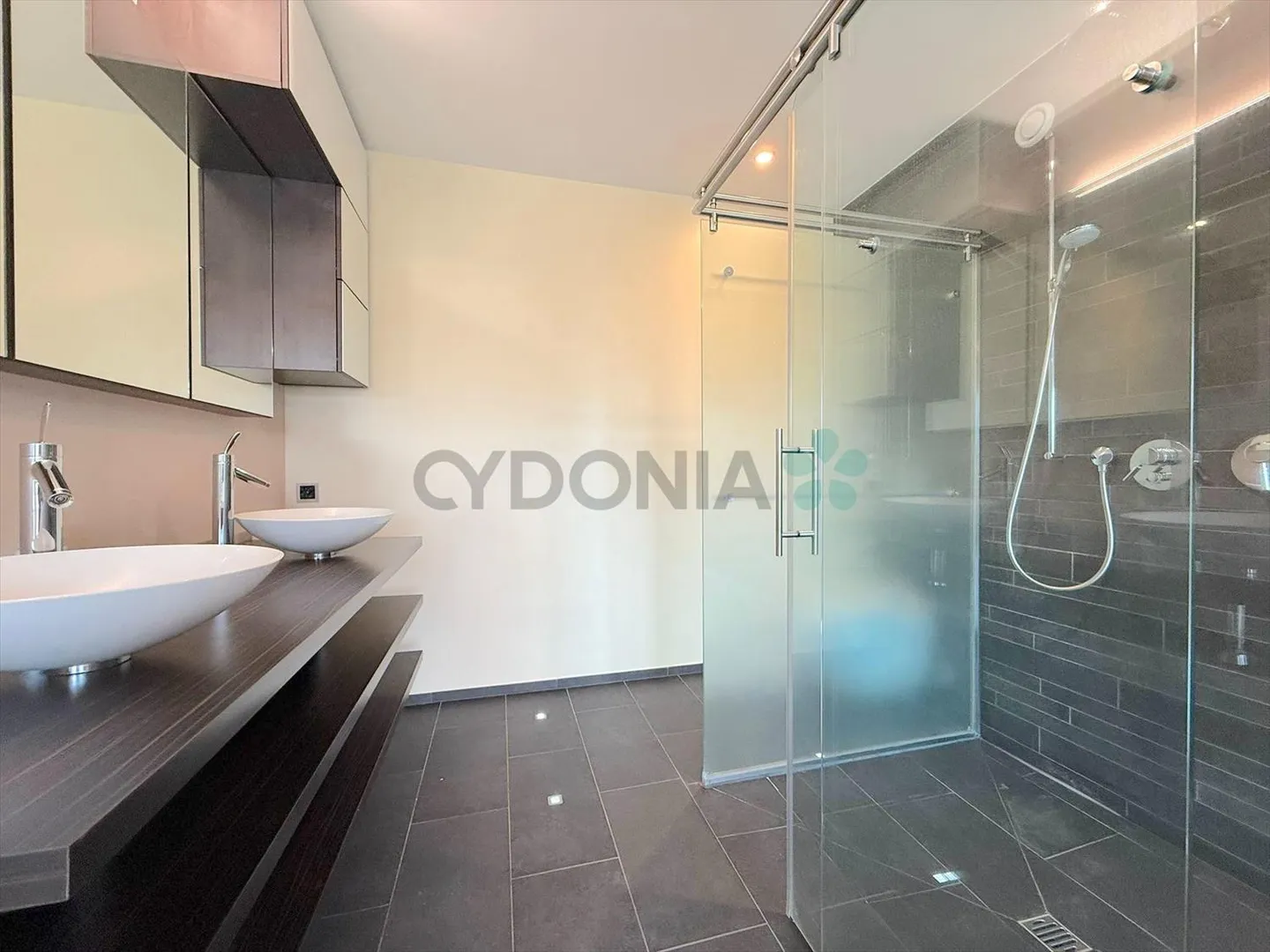 Duplex penthouse in Plan-les-Ouates - Photo 7 of 8