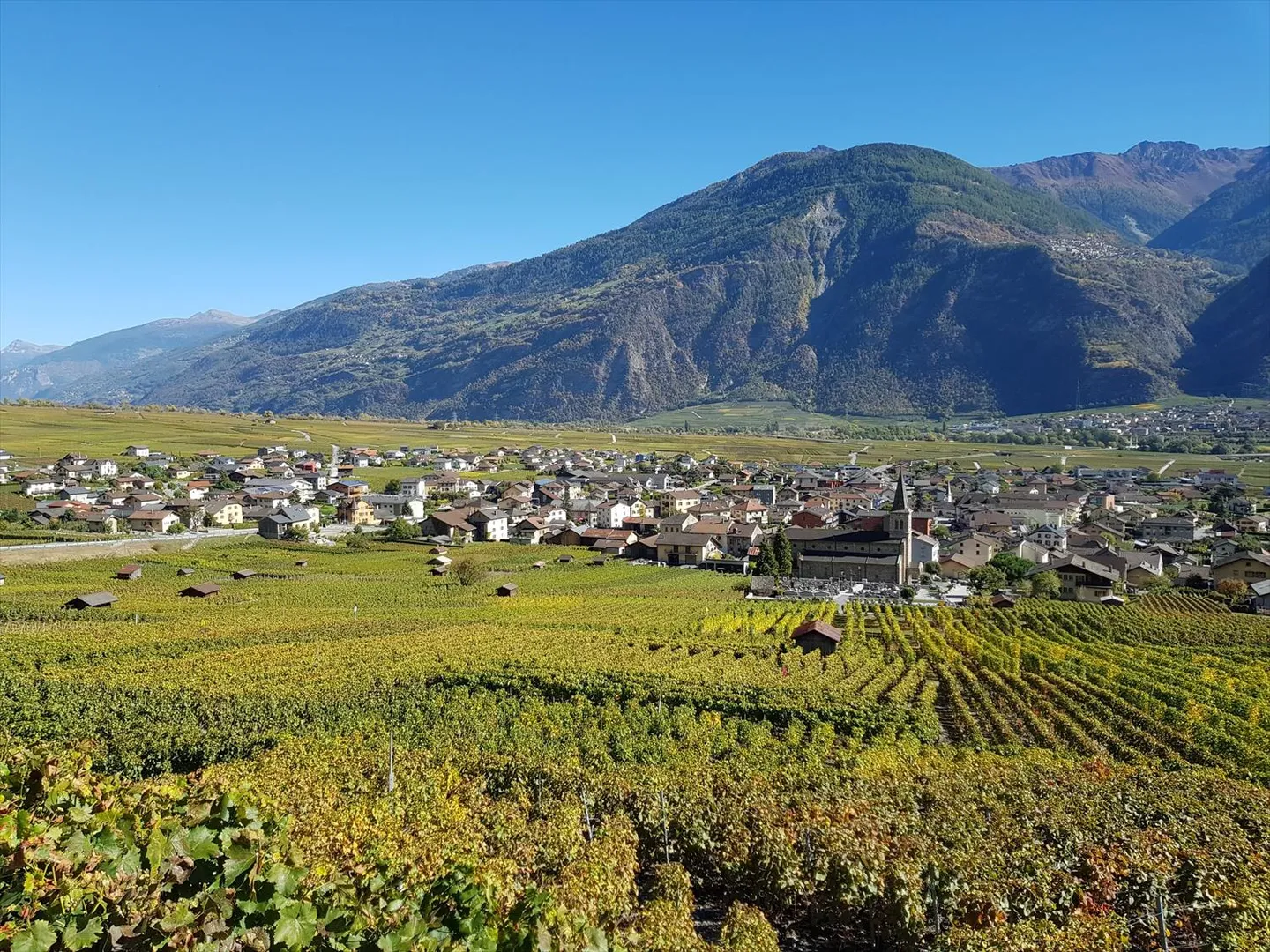Im Zentrum - Dorfhaus mit Scheune und Schuppen - Foto 13 von 13