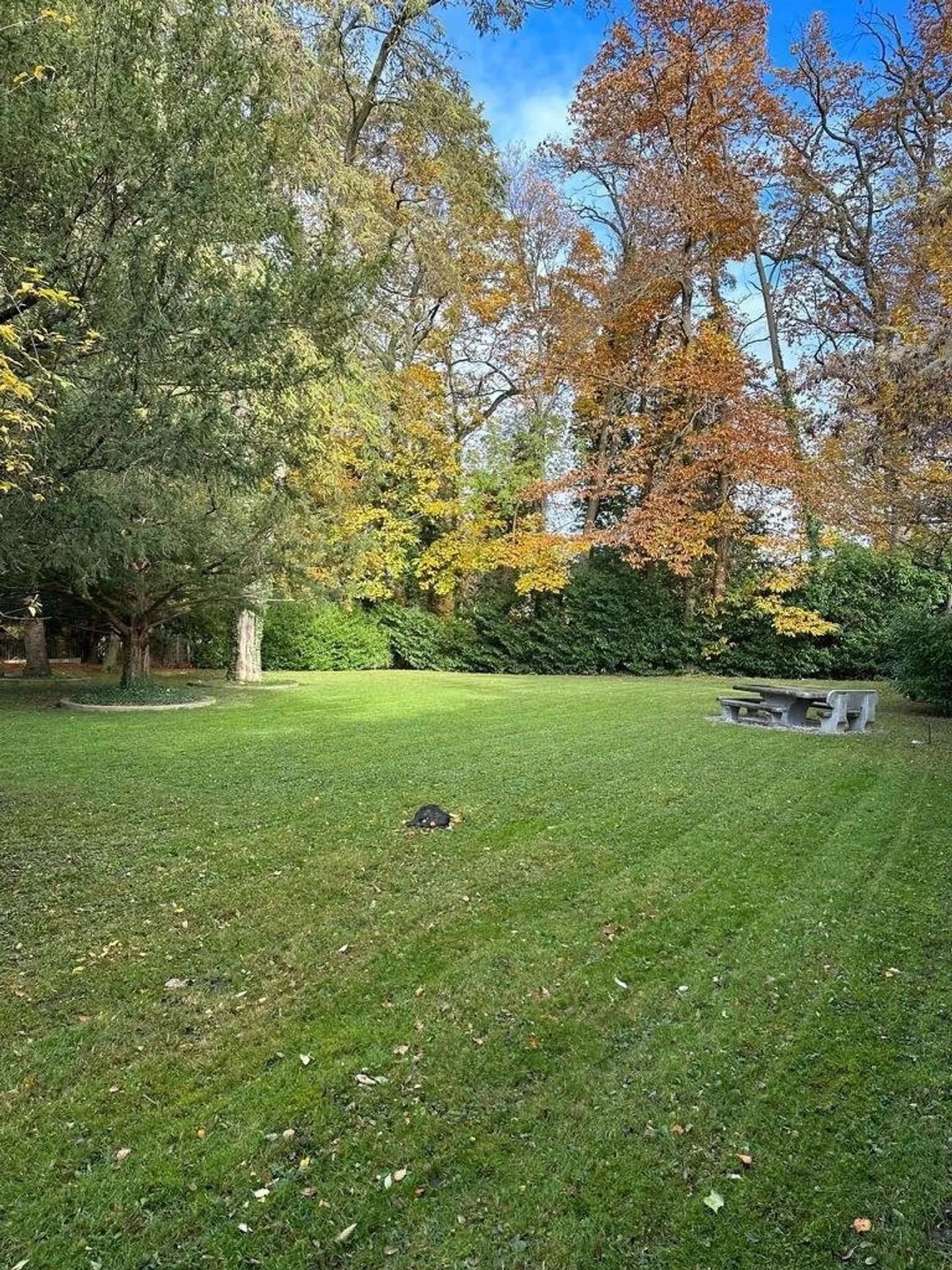 Exceptionnelle maison d'environ 600 m2 habitables à louer. - Photo 1 sur 1