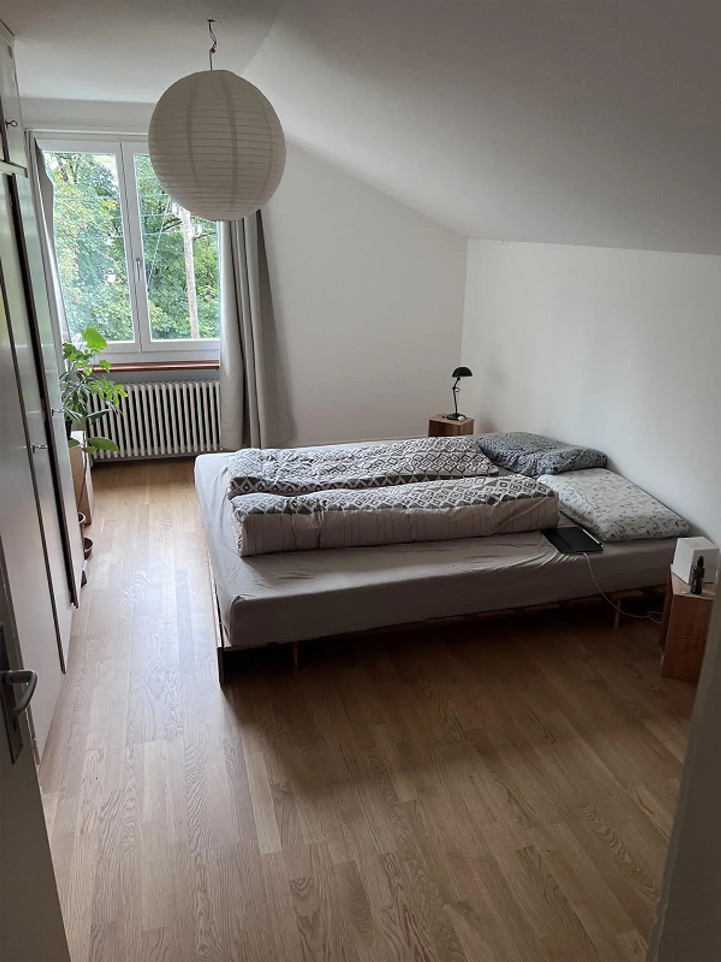 Cercasi nuovo inquilino per appartamento di 3 stanze - Foto 5 di 7