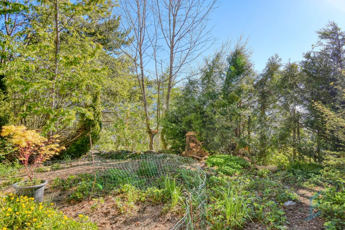 EXCLUSIF Charmant Chalet Indépendant avec 3 1/2 Chambres Orienté Sud - Photo 11 sur 13