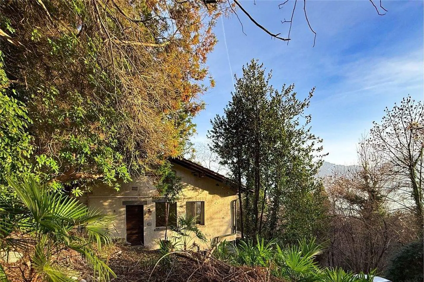 5.5-room house with many possibilities - Photo 2 of 13