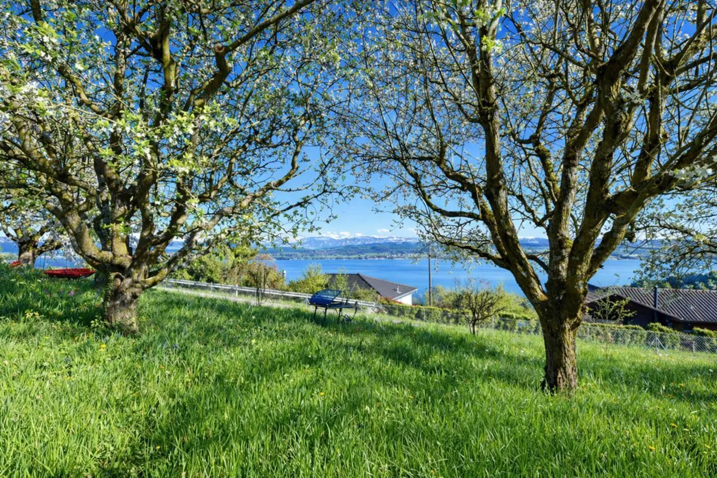 Maison sur un grand terrain de 1'303 m² - Bon potentiel de développement - Photo 4 sur 13