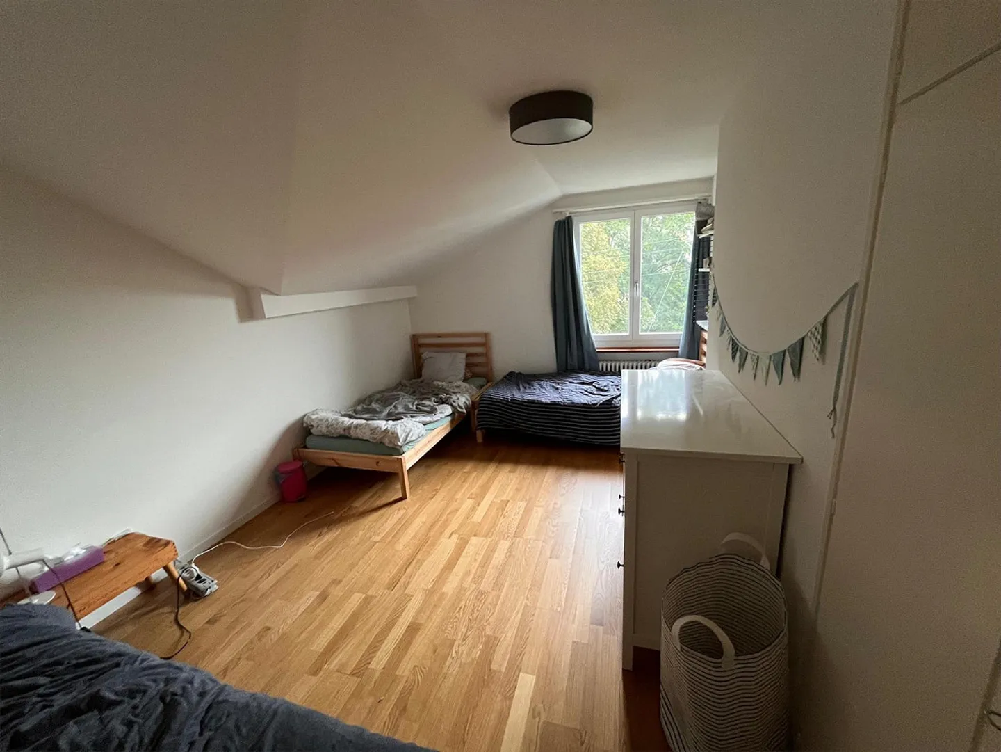 Cercasi nuovo inquilino per appartamento di 3 stanze - Foto 7 di 7