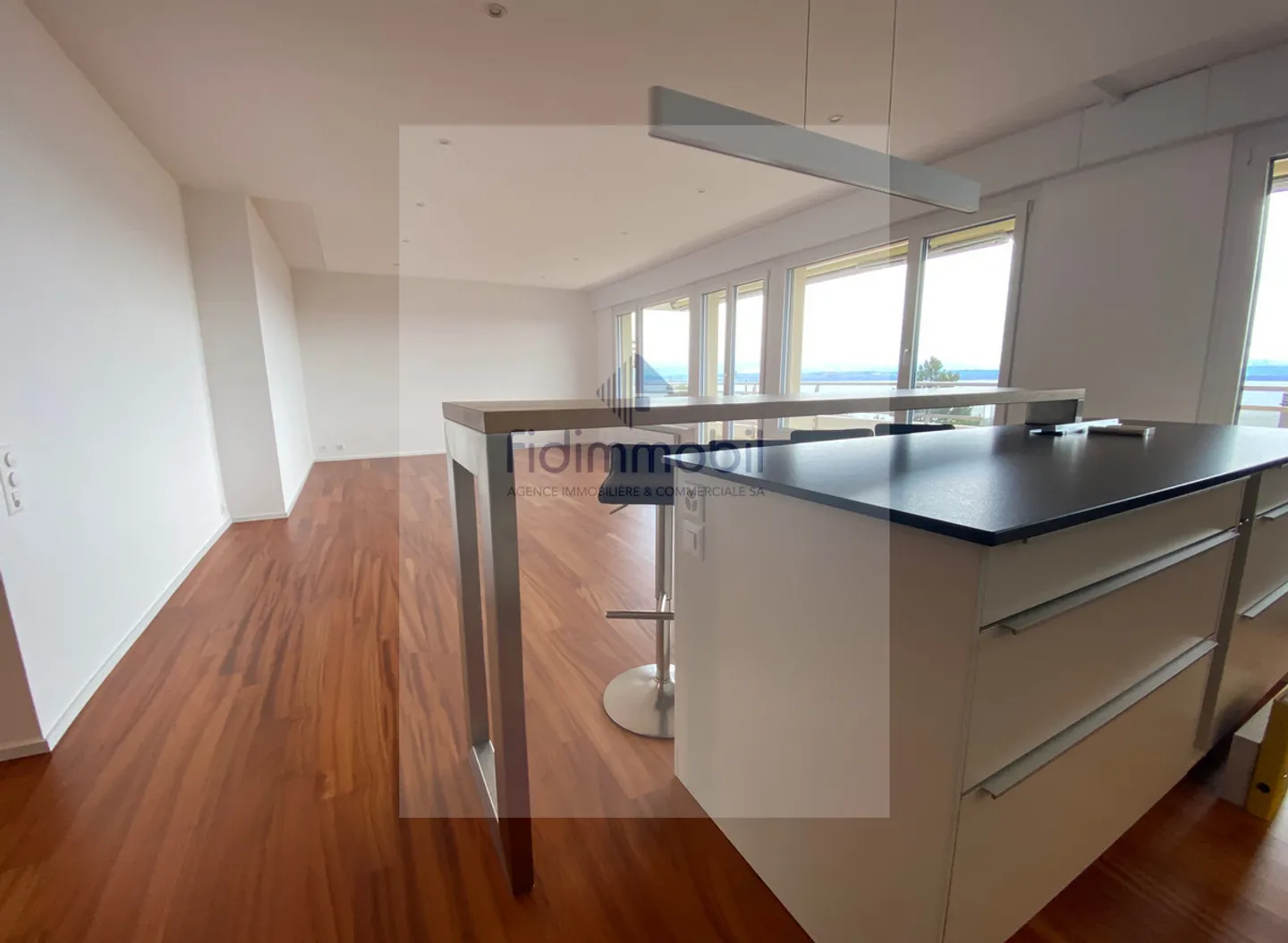 COMPLETELY RENOVATED APARTMENT WITH UNOBSTRUCTED VIEW OF THE LAKE - Photo 4 of 10