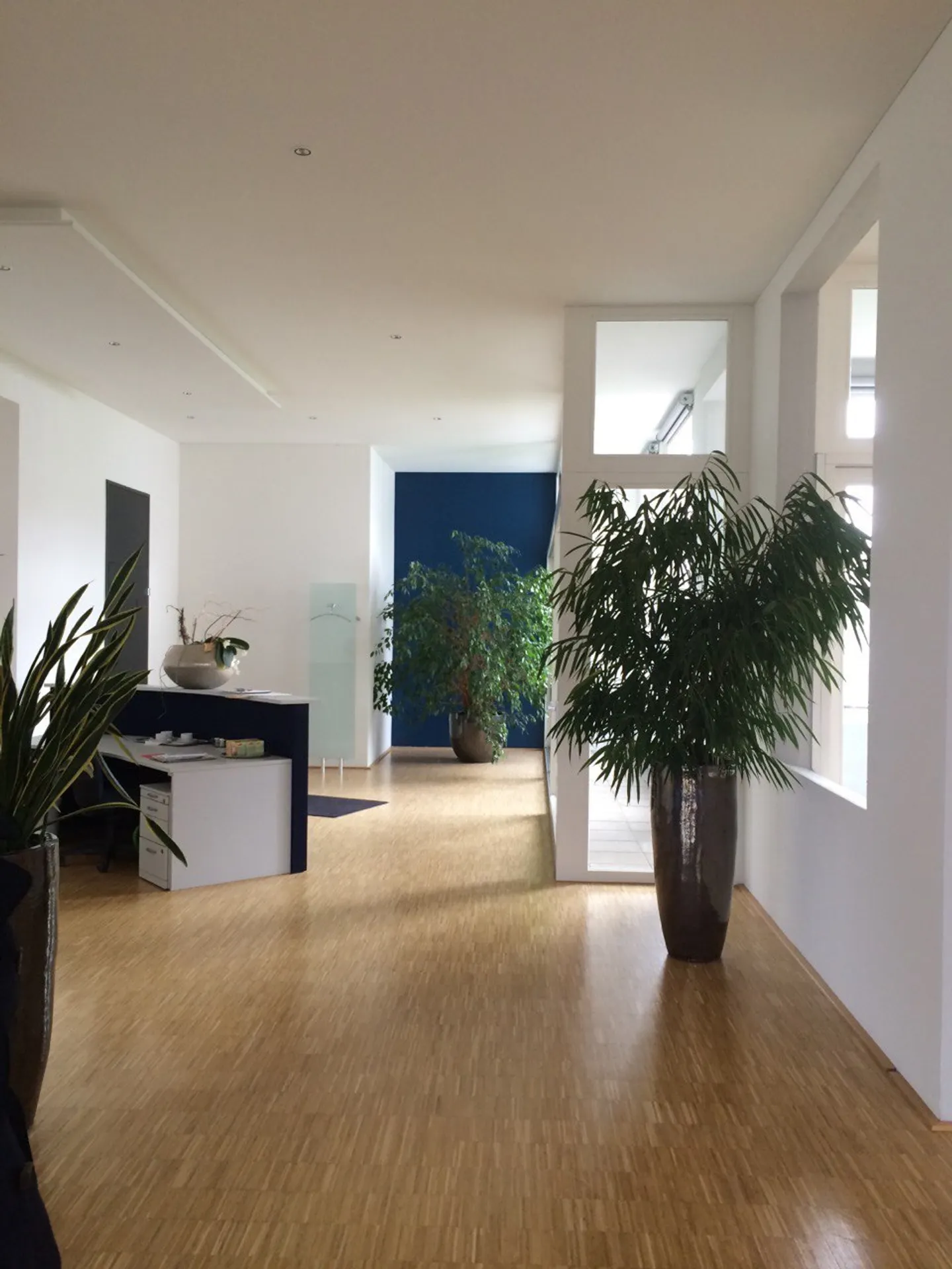 Ampio Ufficio Loft Vicino alla Stazione - Foto 3 di 6