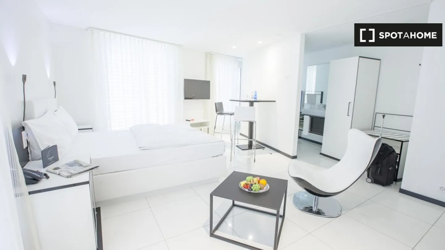 Studio Incantevole a Zurigo - Foto 1 di 7