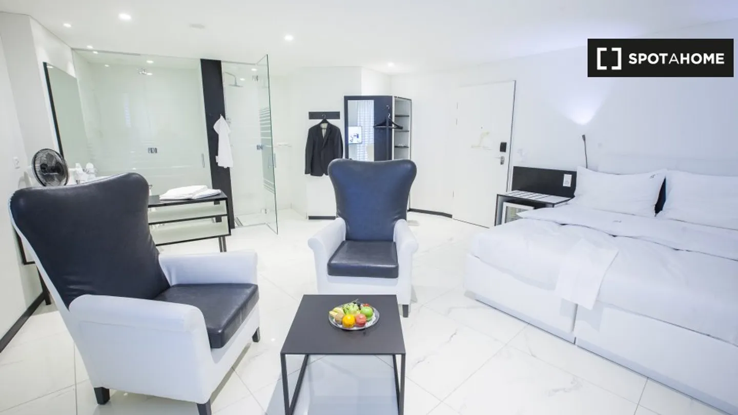 Studio Incantevole a Zurigo - Foto 4 di 7