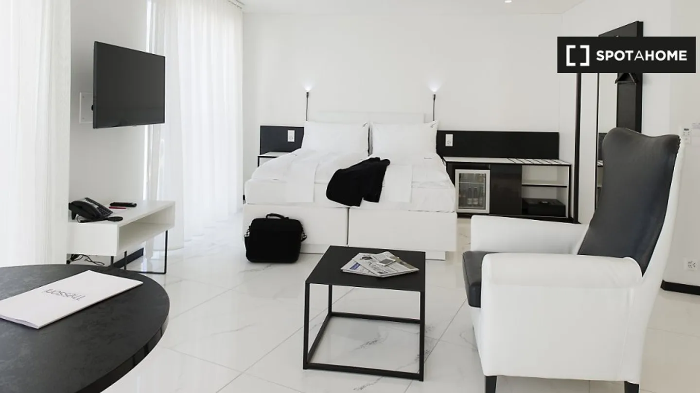Studio Incantevole a Zurigo - Foto 7 di 7