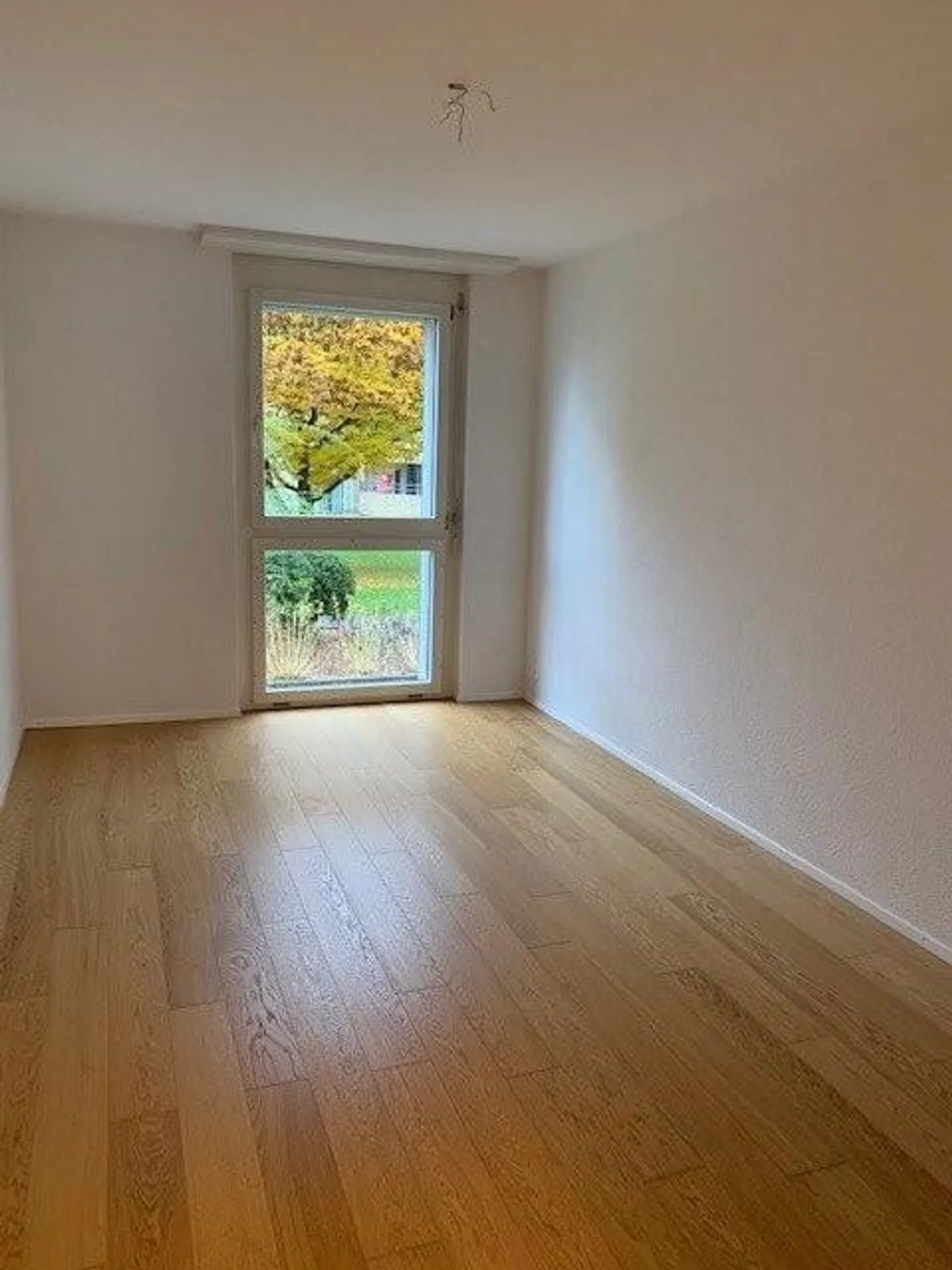 Superbe ensemble - lumineux, spacieux et proche de la ville - Photo 5 sur 10