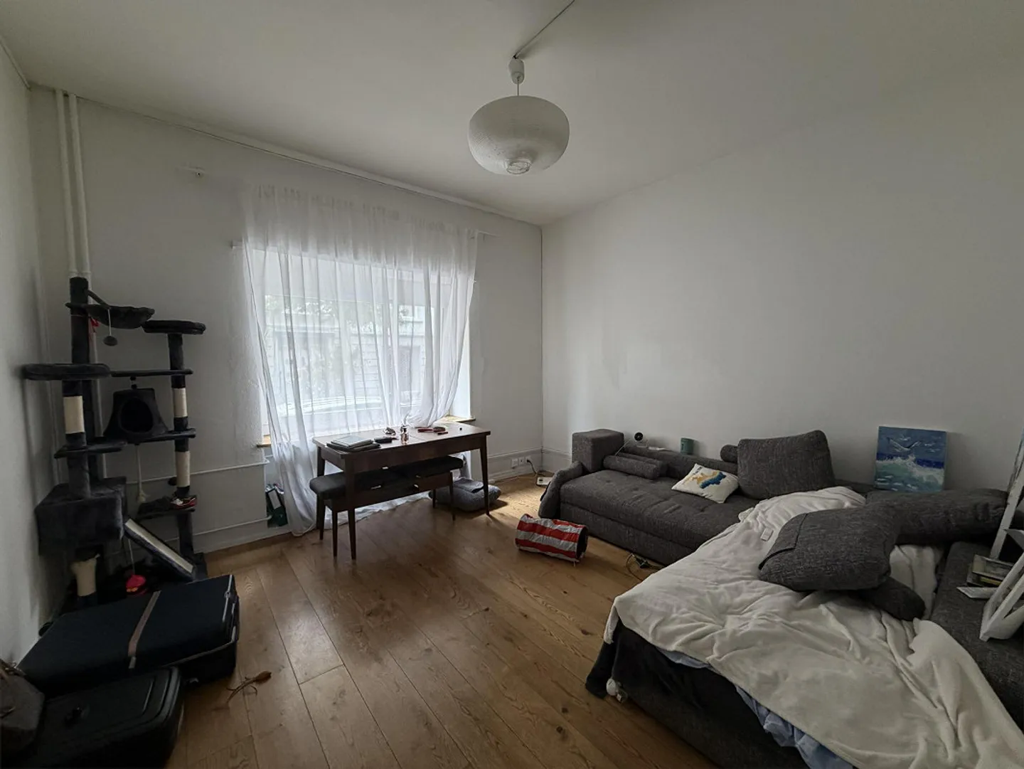 Charmante Wohnung in Zürich - Foto 3 von 6