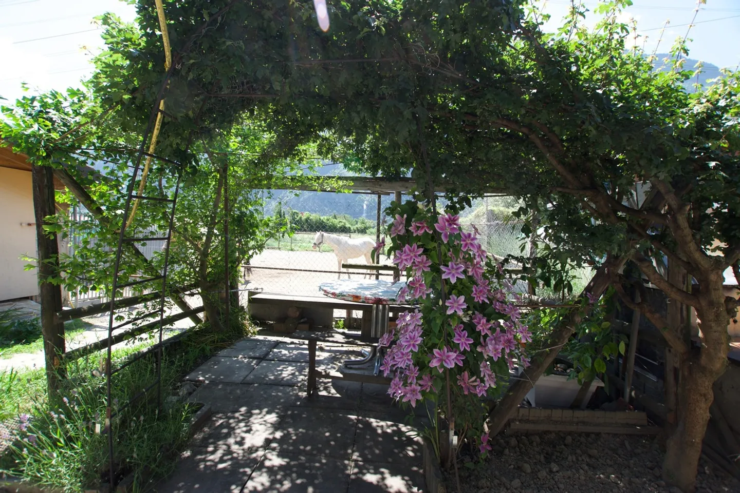 Casa singola in vendita - Foto 6 di 8