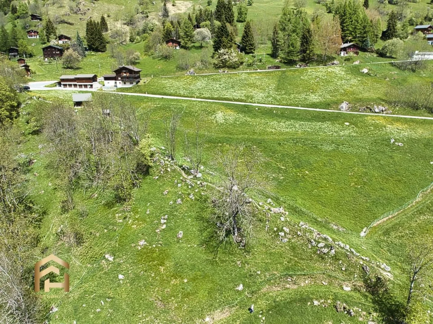 Ampia area alpina e forestale a Bellwald Ideale per l'allevamento di animali - Foto 8 di 13
