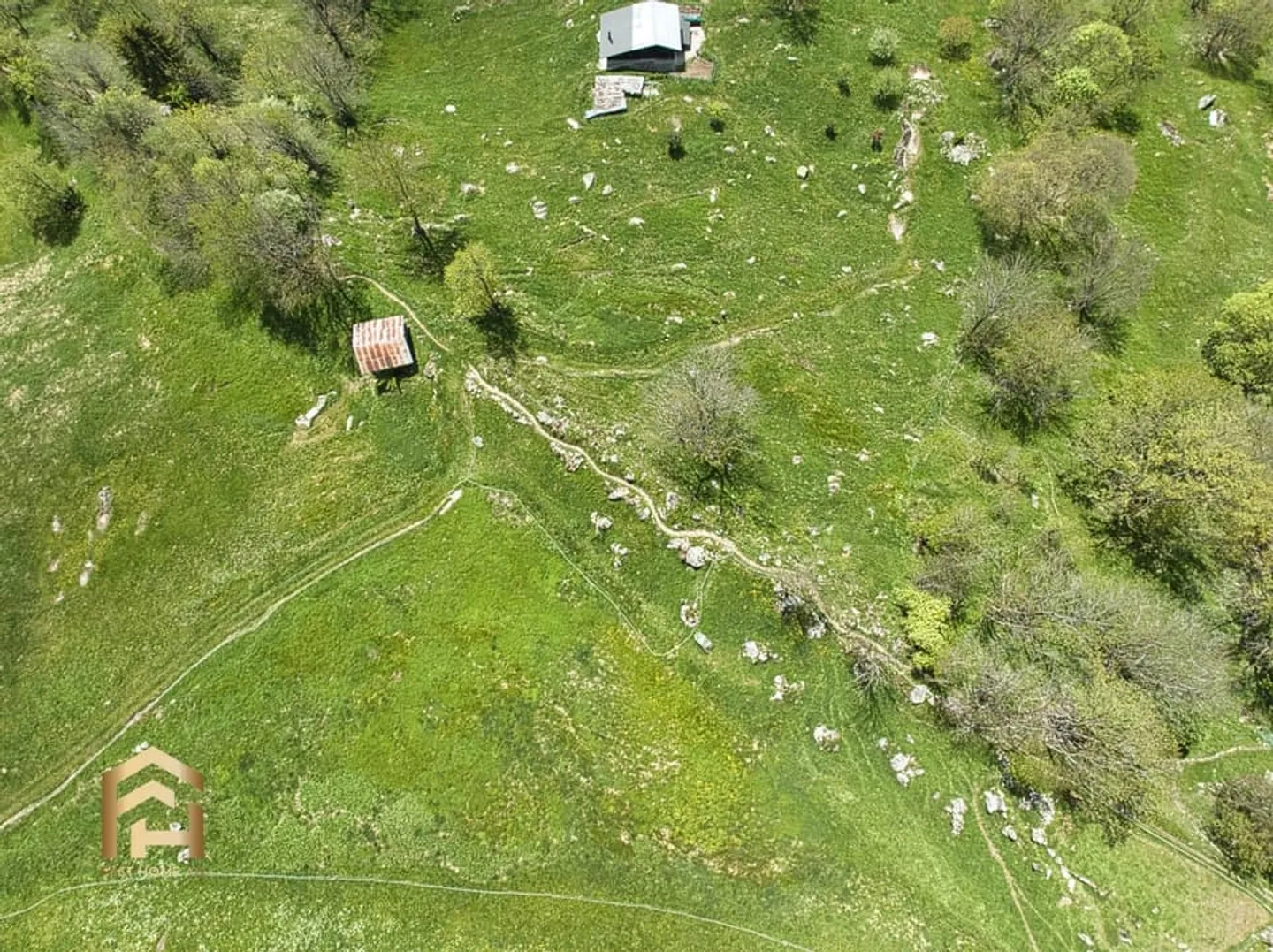 Ampia area alpina e forestale a Bellwald Ideale per l'allevamento di animali - Foto 11 di 13