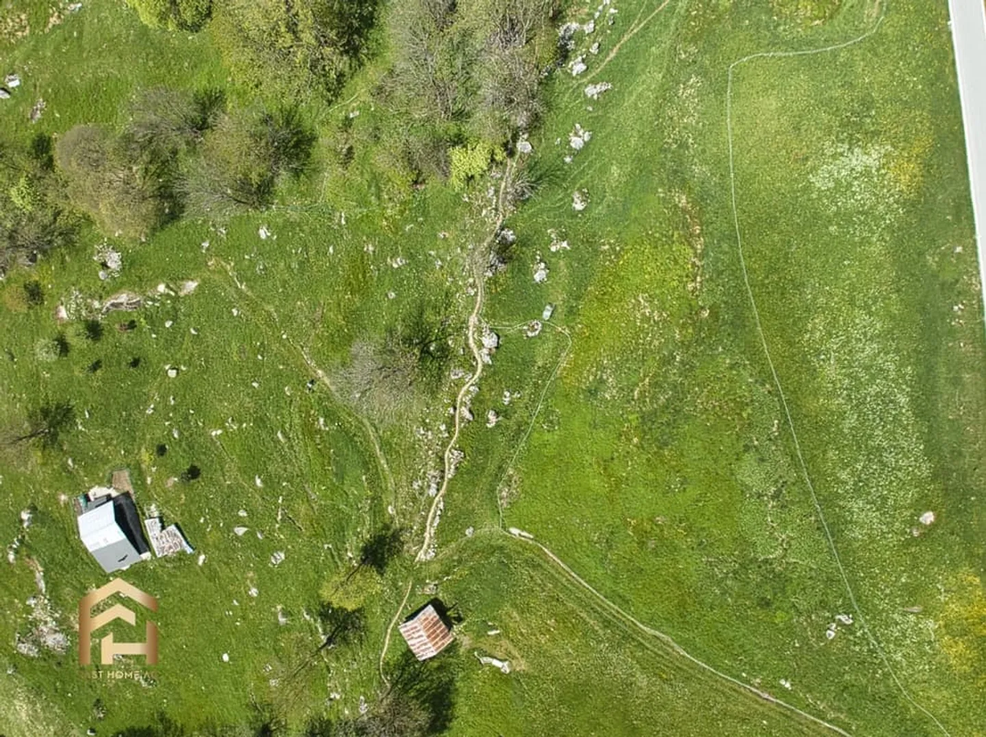 Ampia area alpina e forestale a Bellwald Ideale per l'allevamento di animali - Foto 12 di 13