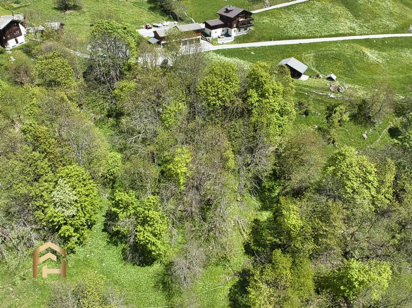 Ampia area alpina e forestale a Bellwald Ideale per l'allevamento di animali - Foto 13 di 13