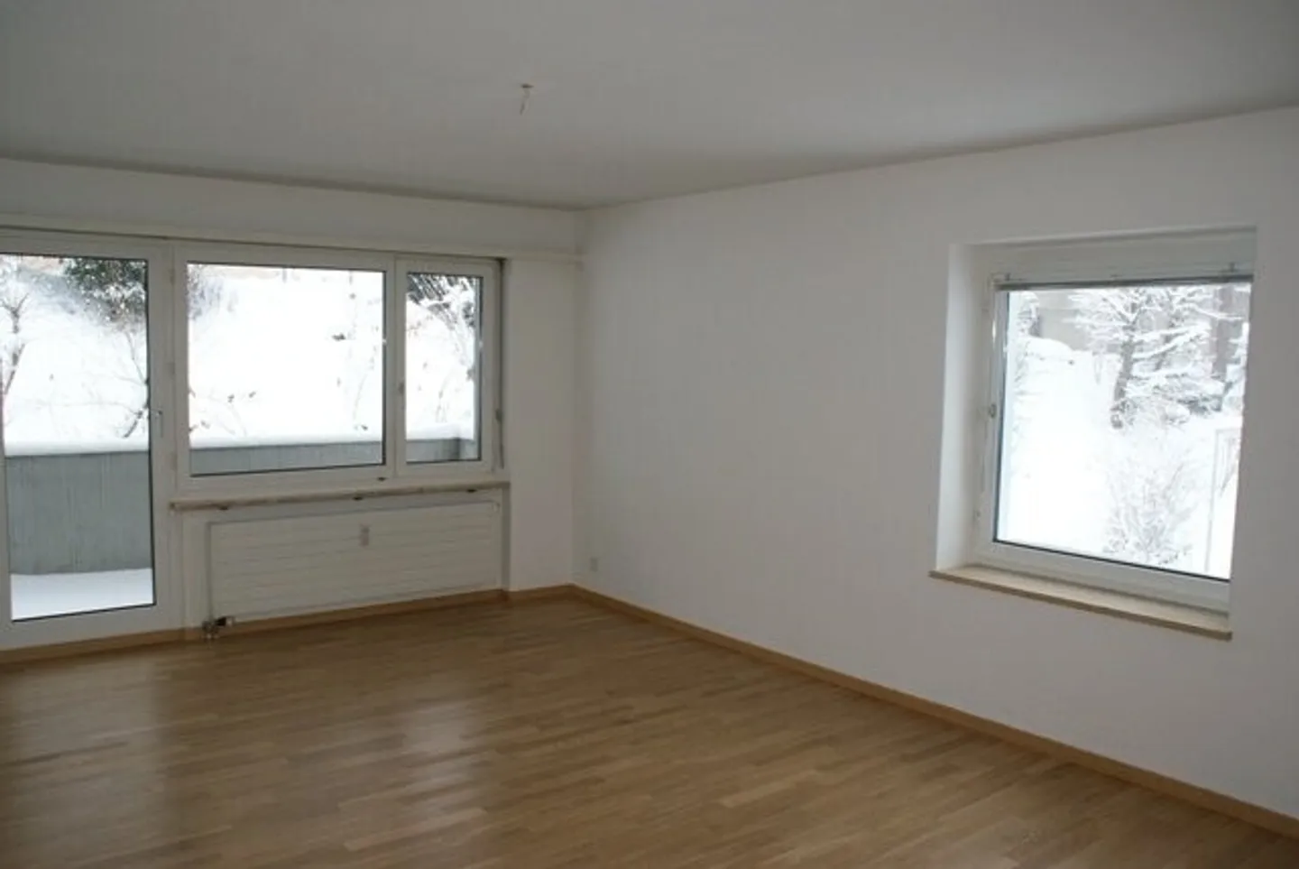 Apartment seeks single - Photo 2 of 4