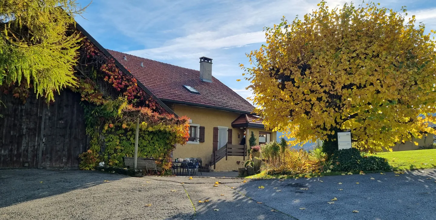 Charming renovated farmhouse in a quiet location, with a beautiful view! - Photo 1 of 13