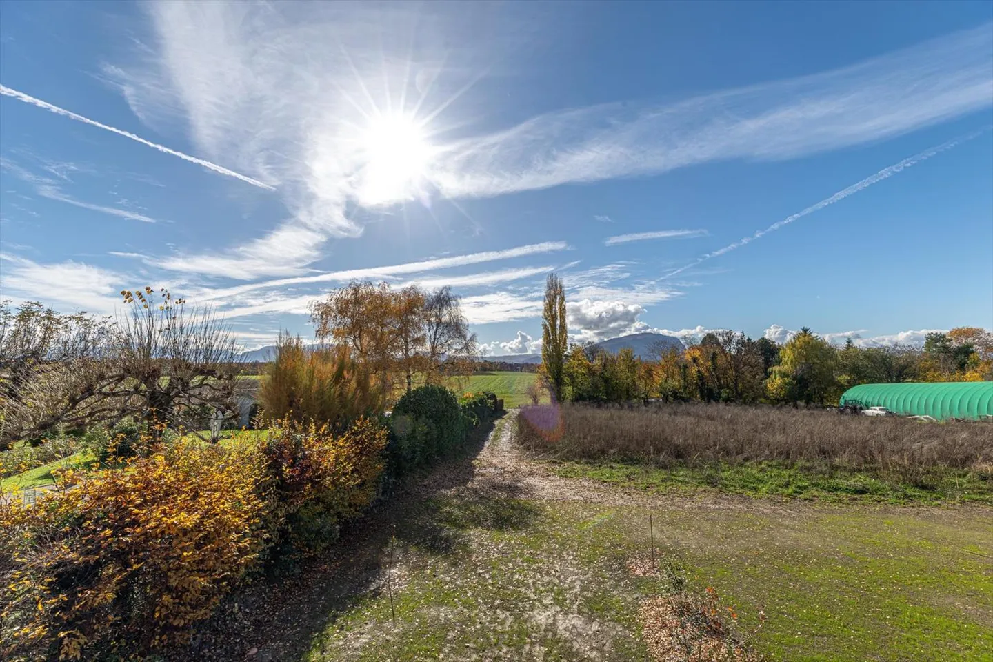 5 Zimmerwohnung - Foto 4 von 11