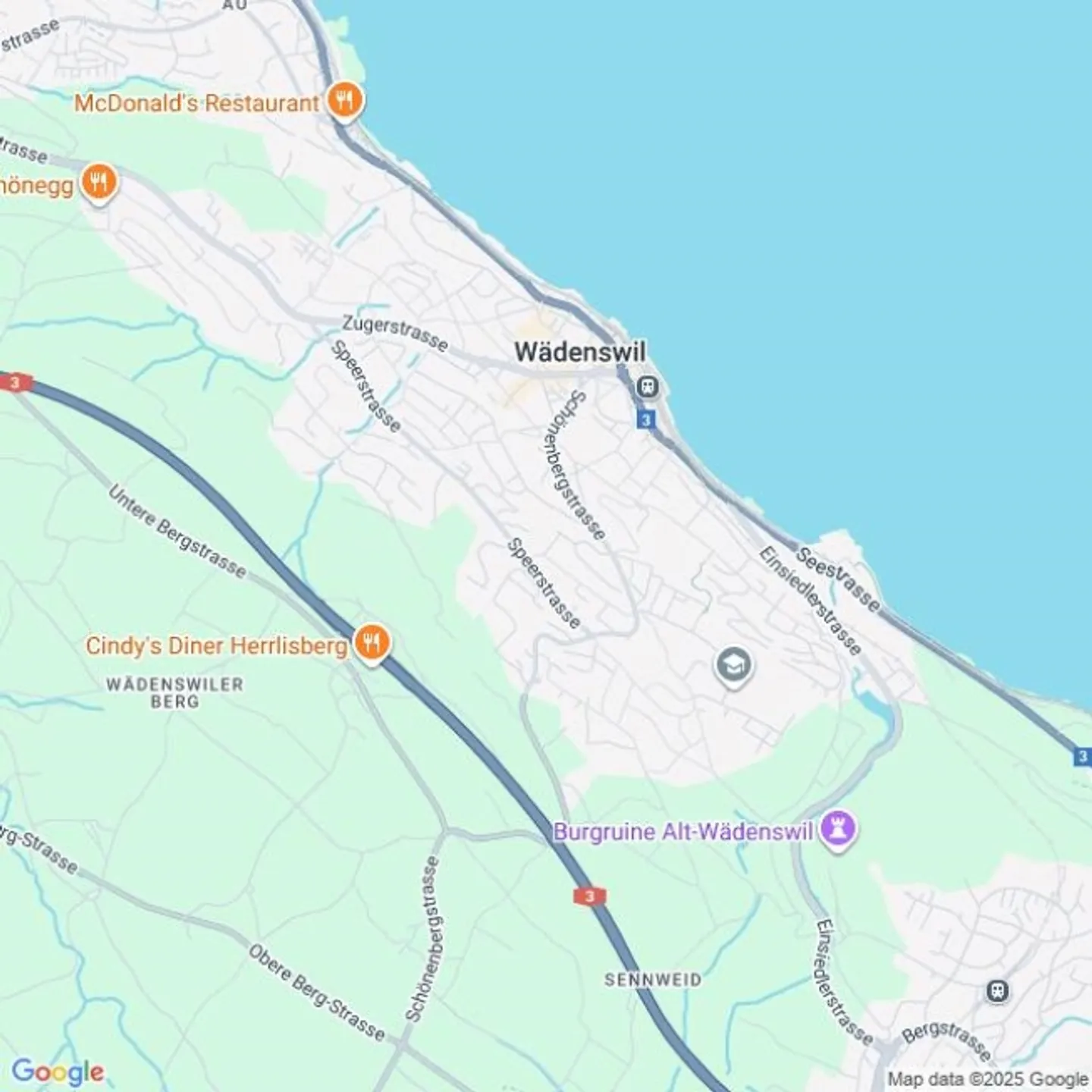 Propriété d'échange Appartement spacieux de 7 pièces dans un emplacement central de Wädenswil - Photo 1 sur 1