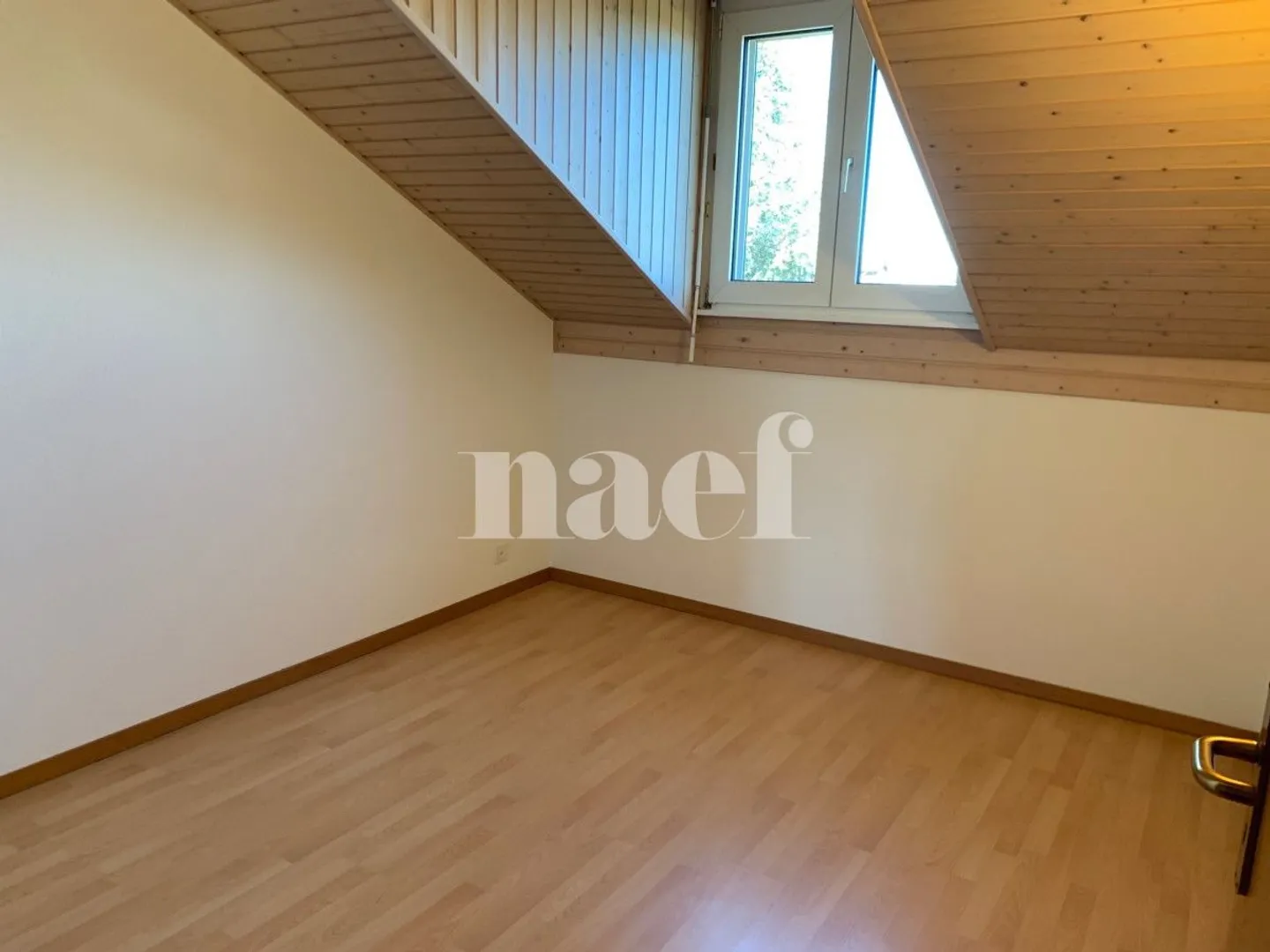 3.5 Room Apartment - Photo 4 of 6