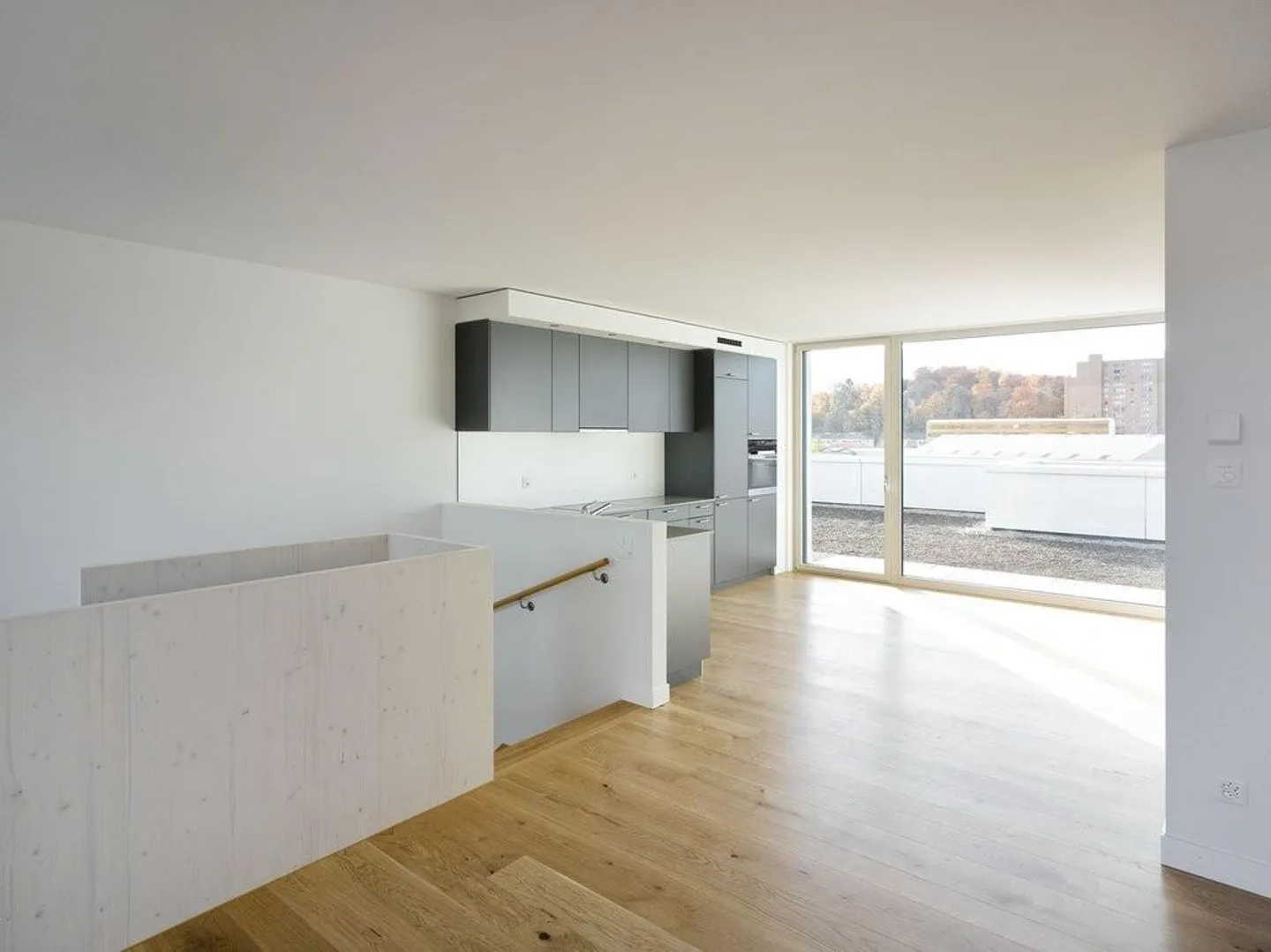 Stai cercando un appartamento urbano nel quartiere in crescita di Dreispitz? - Foto 6 di 11