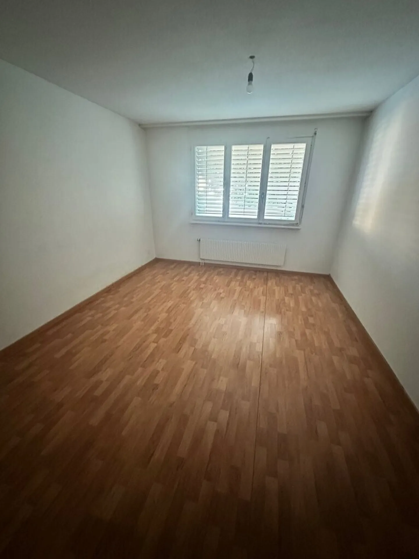 3.5 Room Apartment - Photo 3 of 7