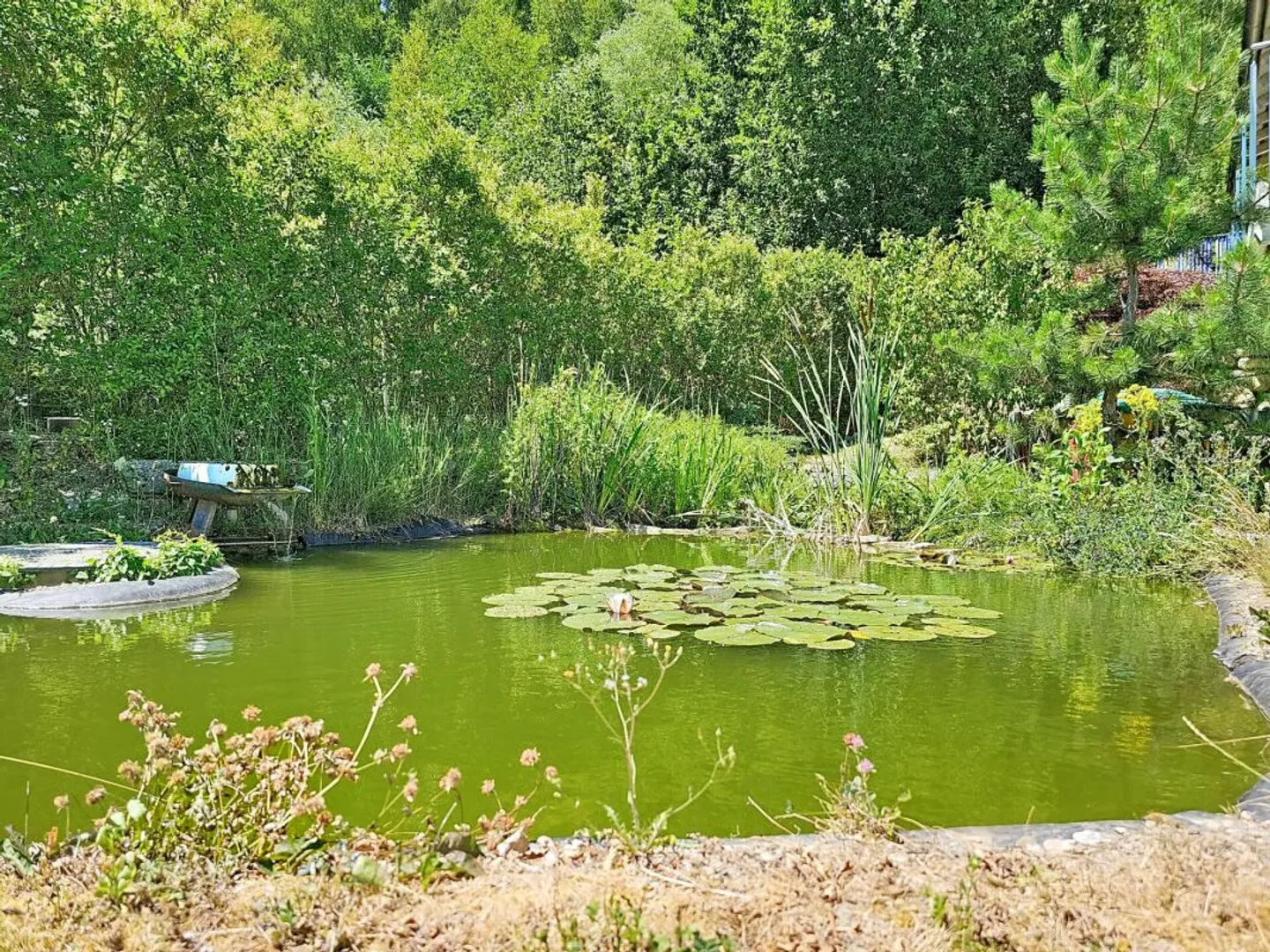 Situation Privilégiée avec vue panoramique totalement dégagée - Foto 14 di 19