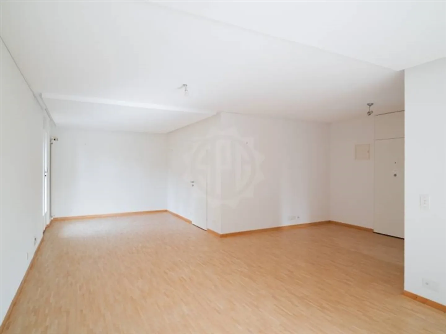 Beautiful Apartment - Cologny - Photo 4 of 10