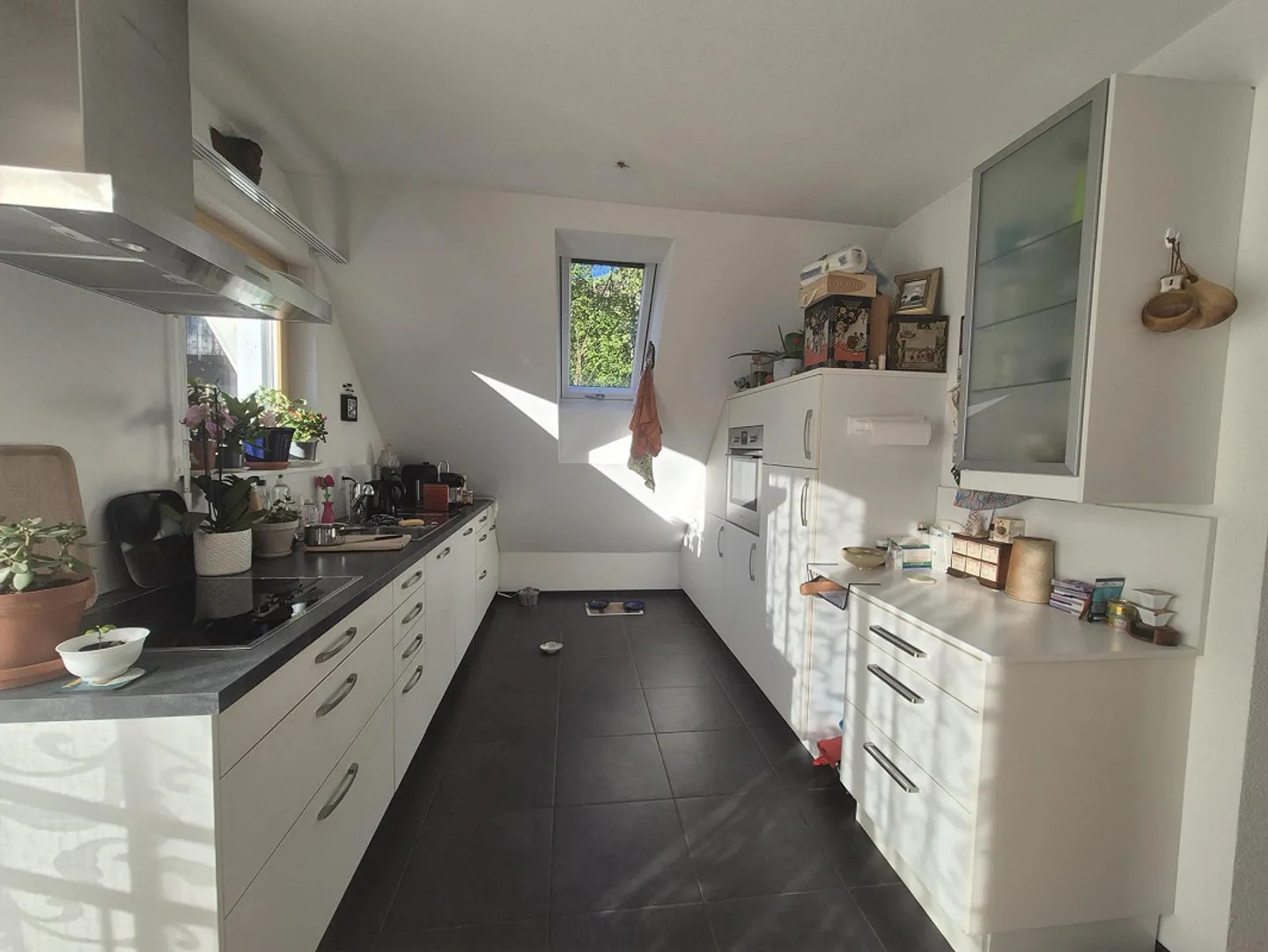 Pet-Friendly Home in Switzerland - Photo 1 of 9