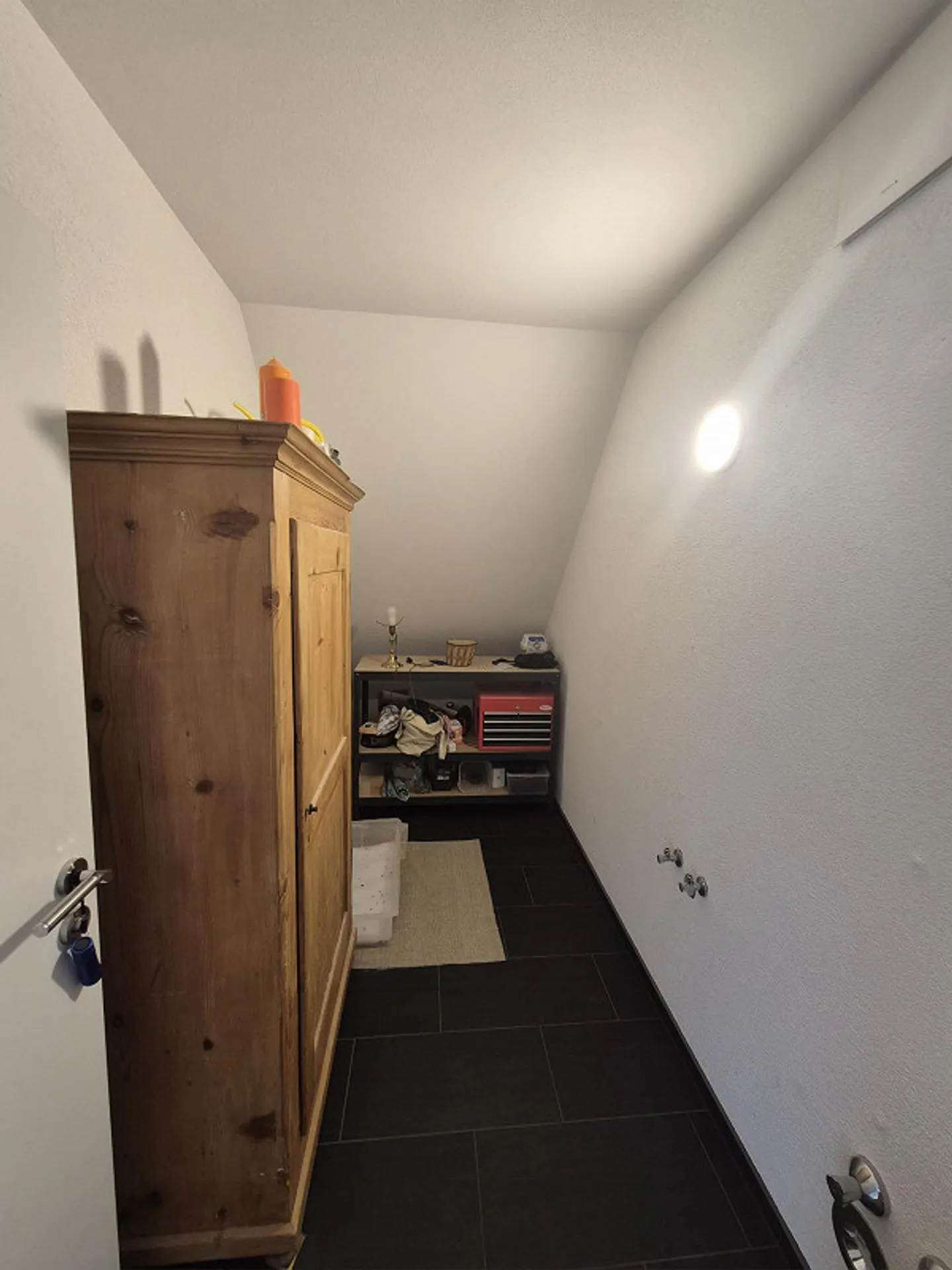 Pet-Friendly Home in Switzerland - Photo 6 of 9