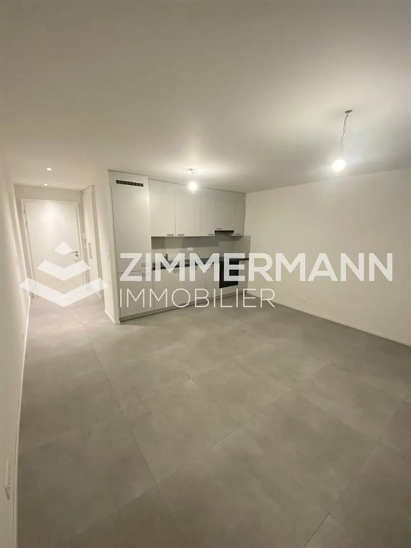 Modern Commercial Space in Rolle - Photo 2 of 3